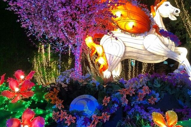 В Таиланде начался фестиваль цветов: восхитительные фото