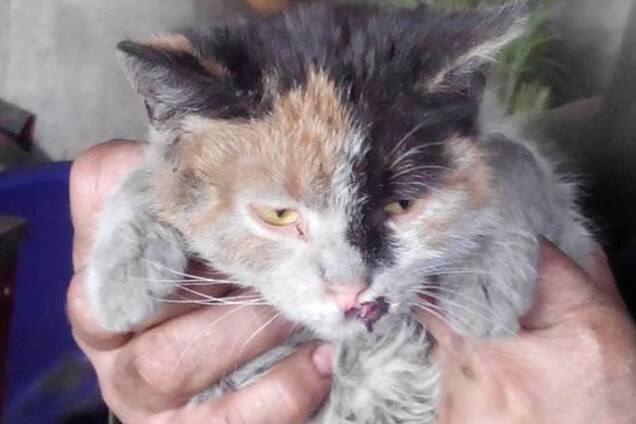 Специалист по выживанию в условиях обстрелов