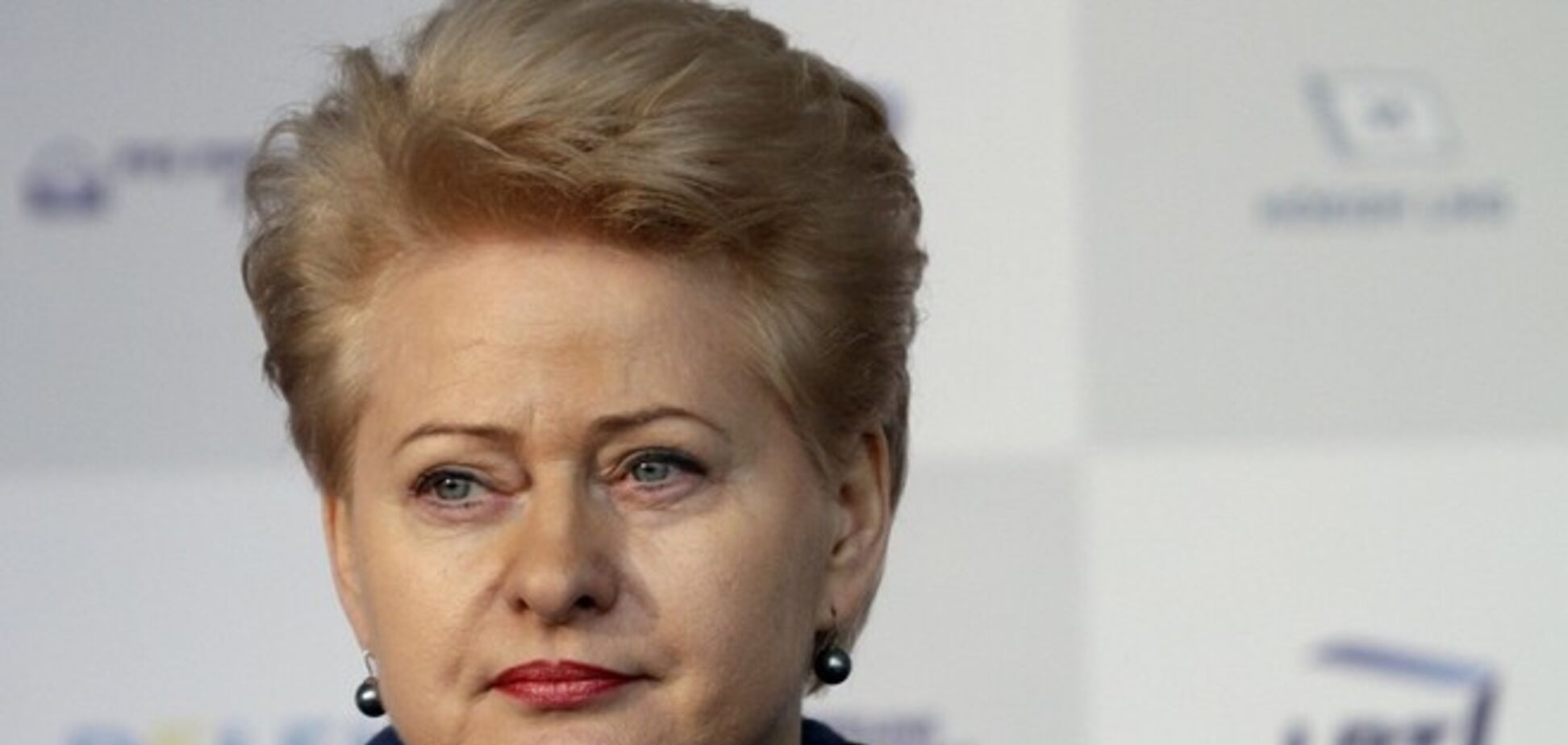 Глава Литвы призвала Запад предоставить Украине оружие: Россия не остановится