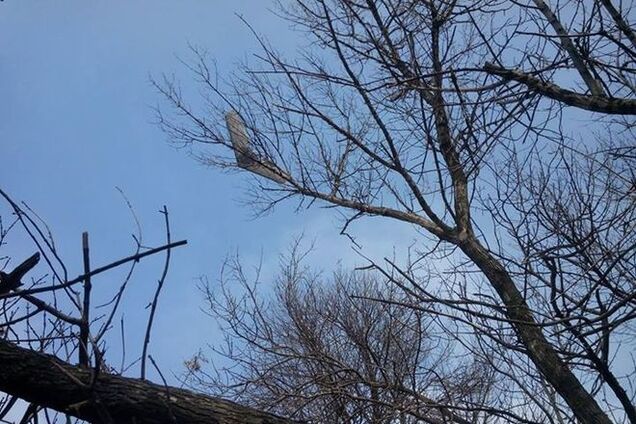 Как только они берут в руки оружие и посягают на наши земли - они будут умирать