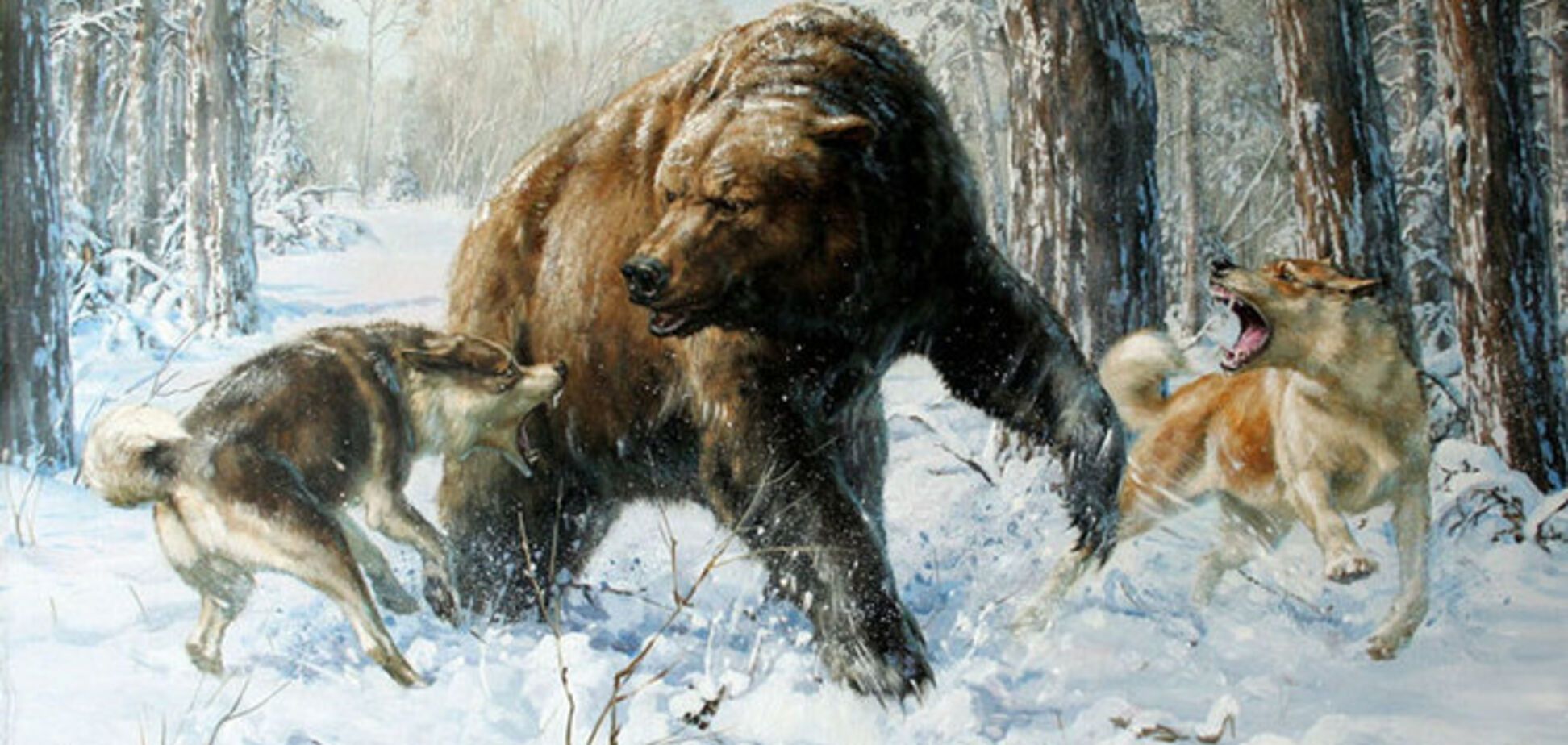Полювання на ведмедя
