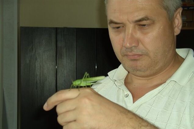 Под Станицей погиб луганский журналист-боец 'Айдара': он мечтал освободить родной город от оккупантов