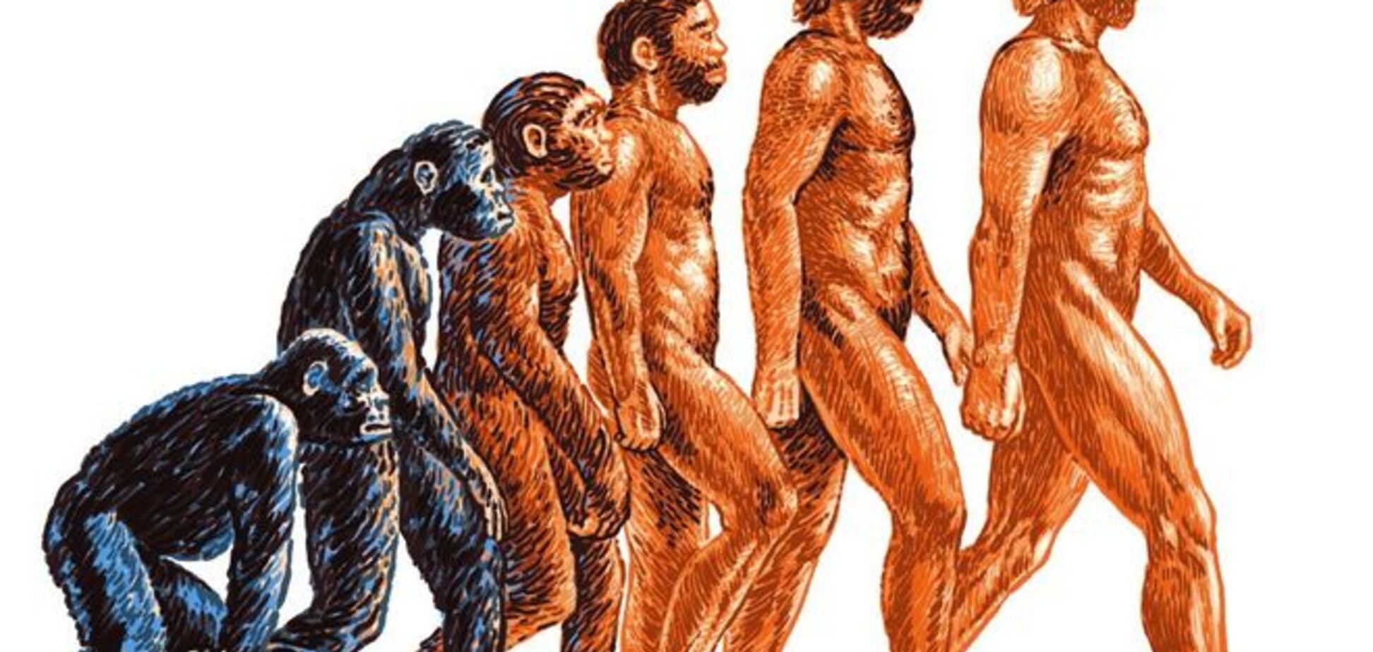 В США ученые поставили под сомнение основу теории Дарвина