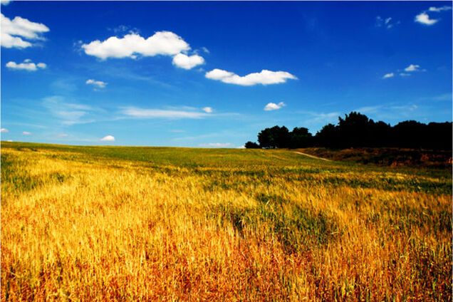 Почему наших людей так легко обмануть