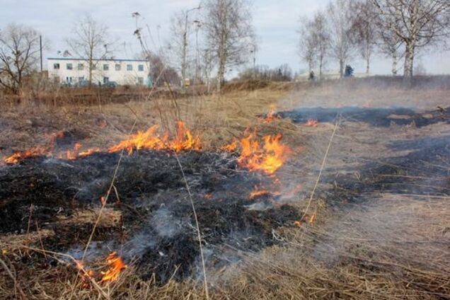 В Киеве горело 38 гектаров травы: опубликованы фото