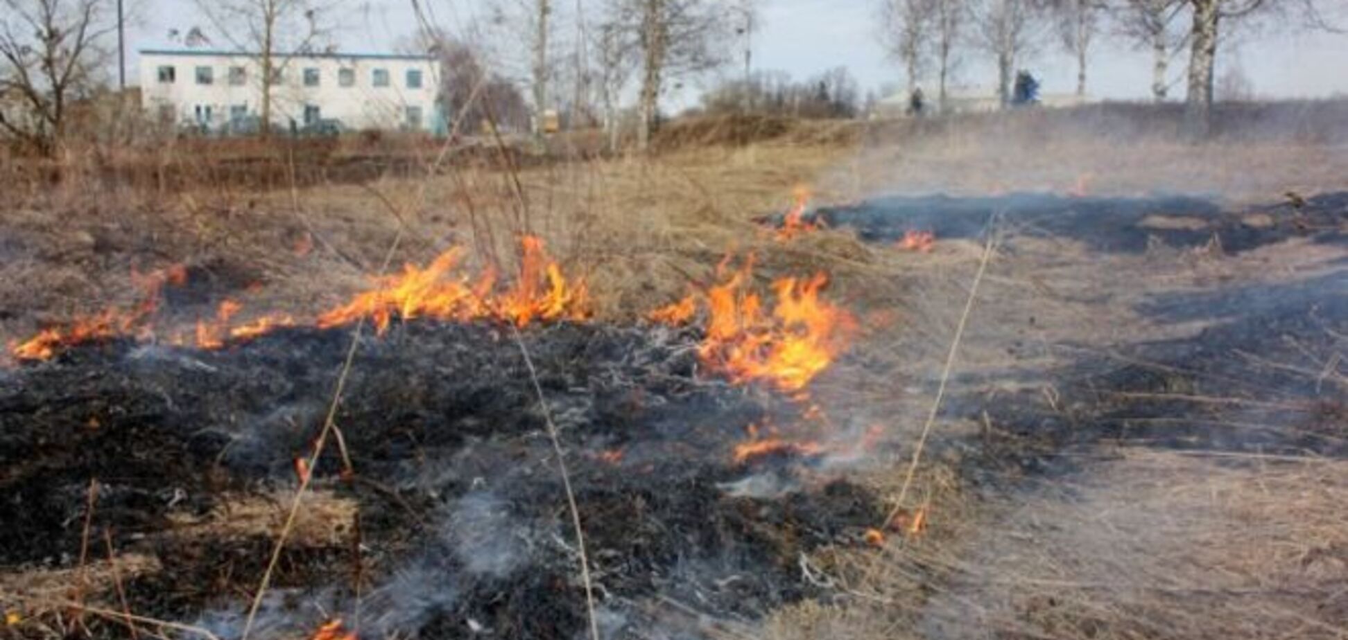 В Киеве горело 38 гектаров травы: опубликованы фото