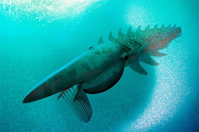 Палеонтологи нашли древнюю креветку размером с человека