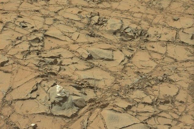 Марсоход на обнаружил на Красной планете 'белые грибы'