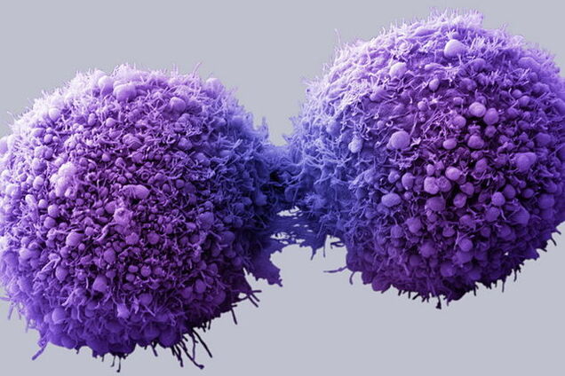 Ученые нашли в человеке гены других форм жизни - грибов и вирусов