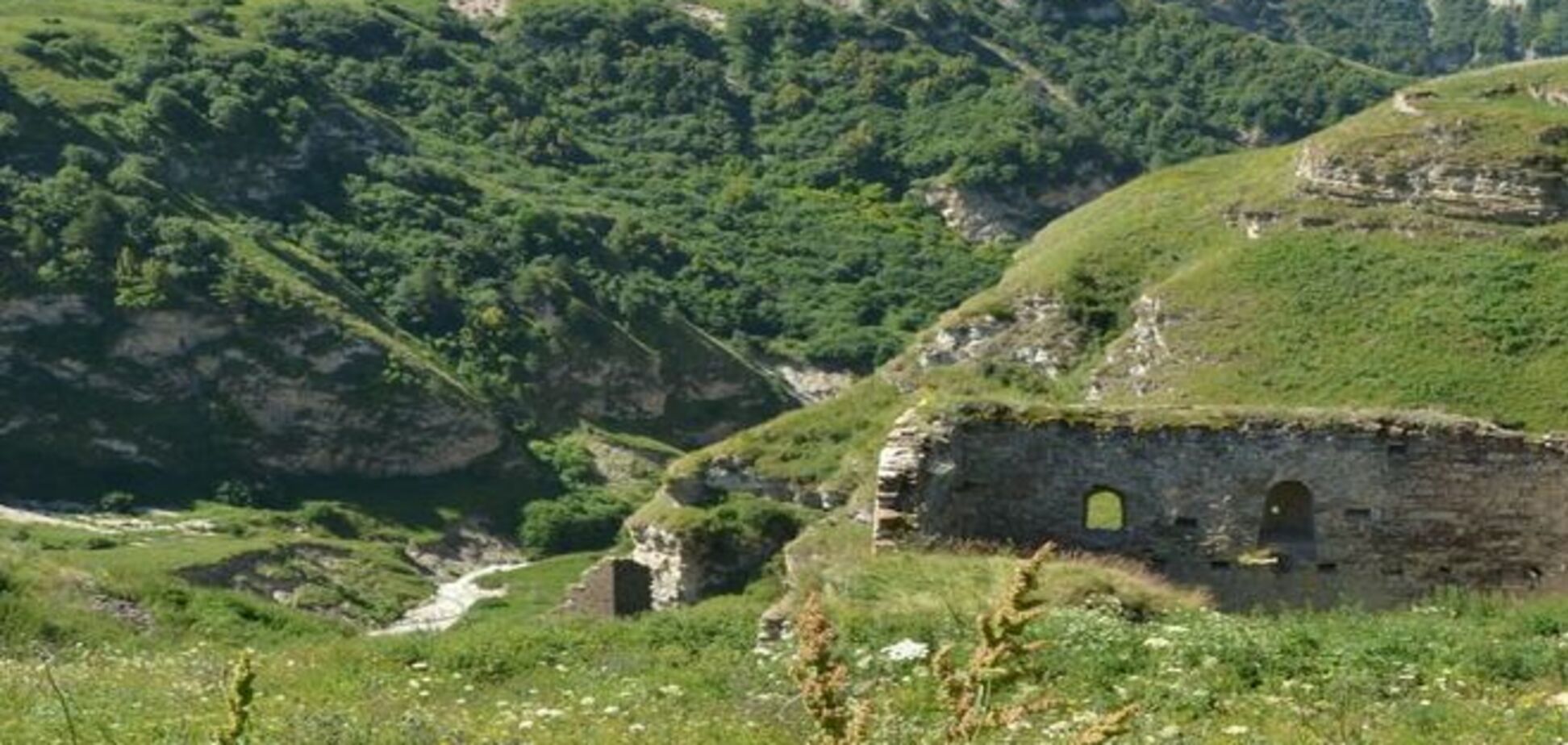 Партия кровищи