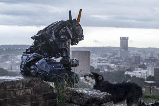 Чаппи - это не только собачий корм