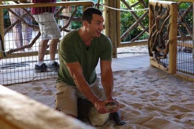 Кличко готовится к бою в клетке с крокодилом: опубликовано фото