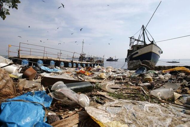 Экология в опасности: подготовка Рио-де-Жанейро к Олимпийским играм 2016 года