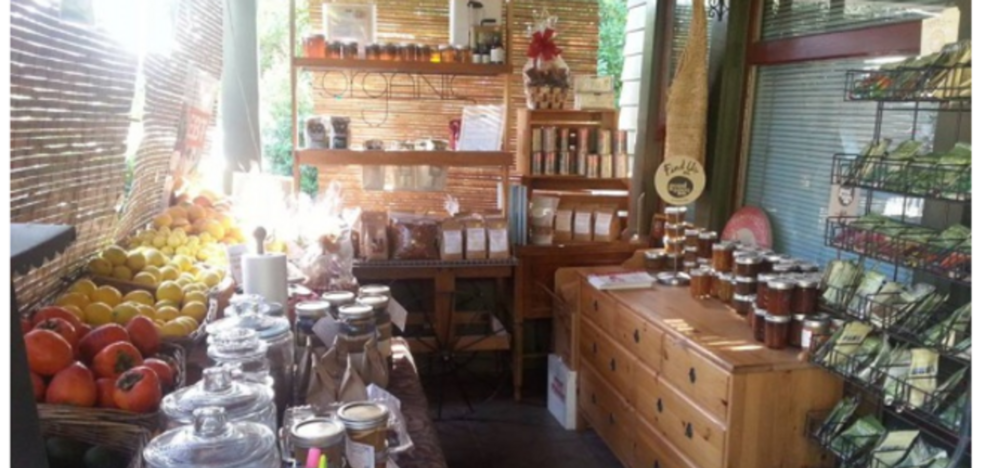 О том, как выжить в кризис: познавательный пример из жизни