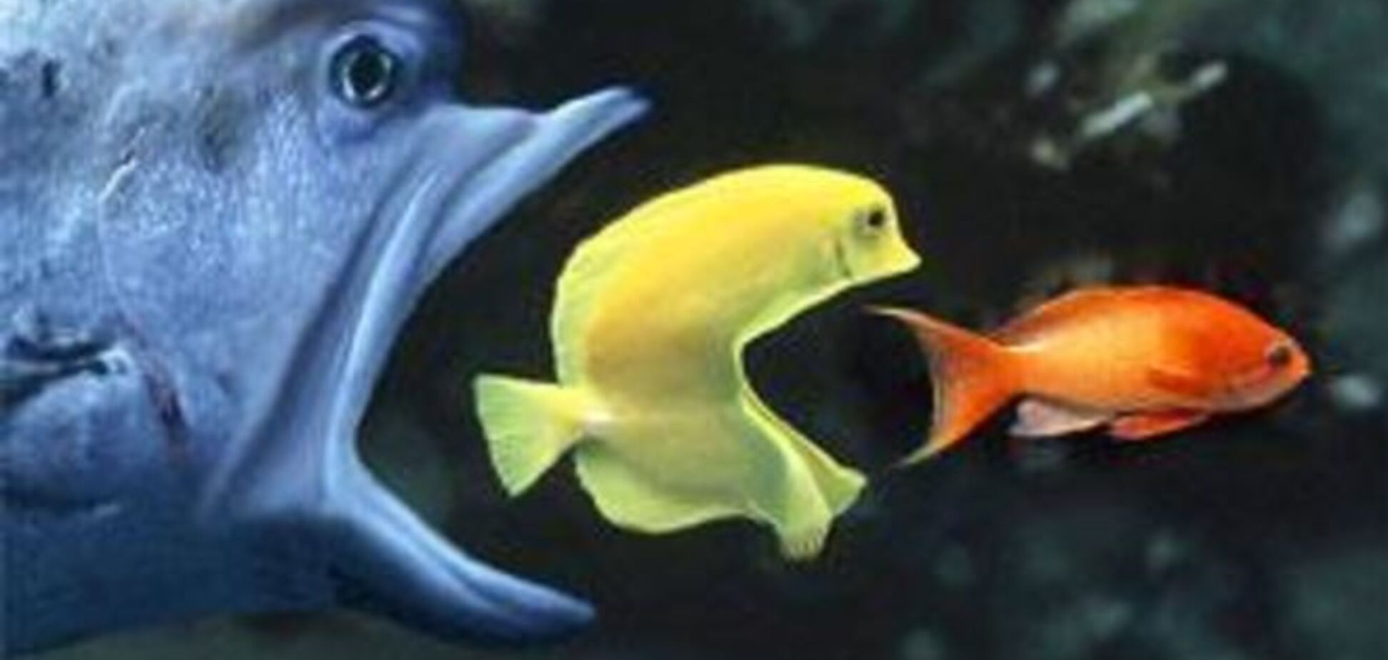 ПУМБ поглотил банк 'Ренессанс Кредит'