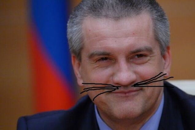 Где логика? Аксенов с 'усами и хвостом' посоветовал ГПУ тренироваться на кошках