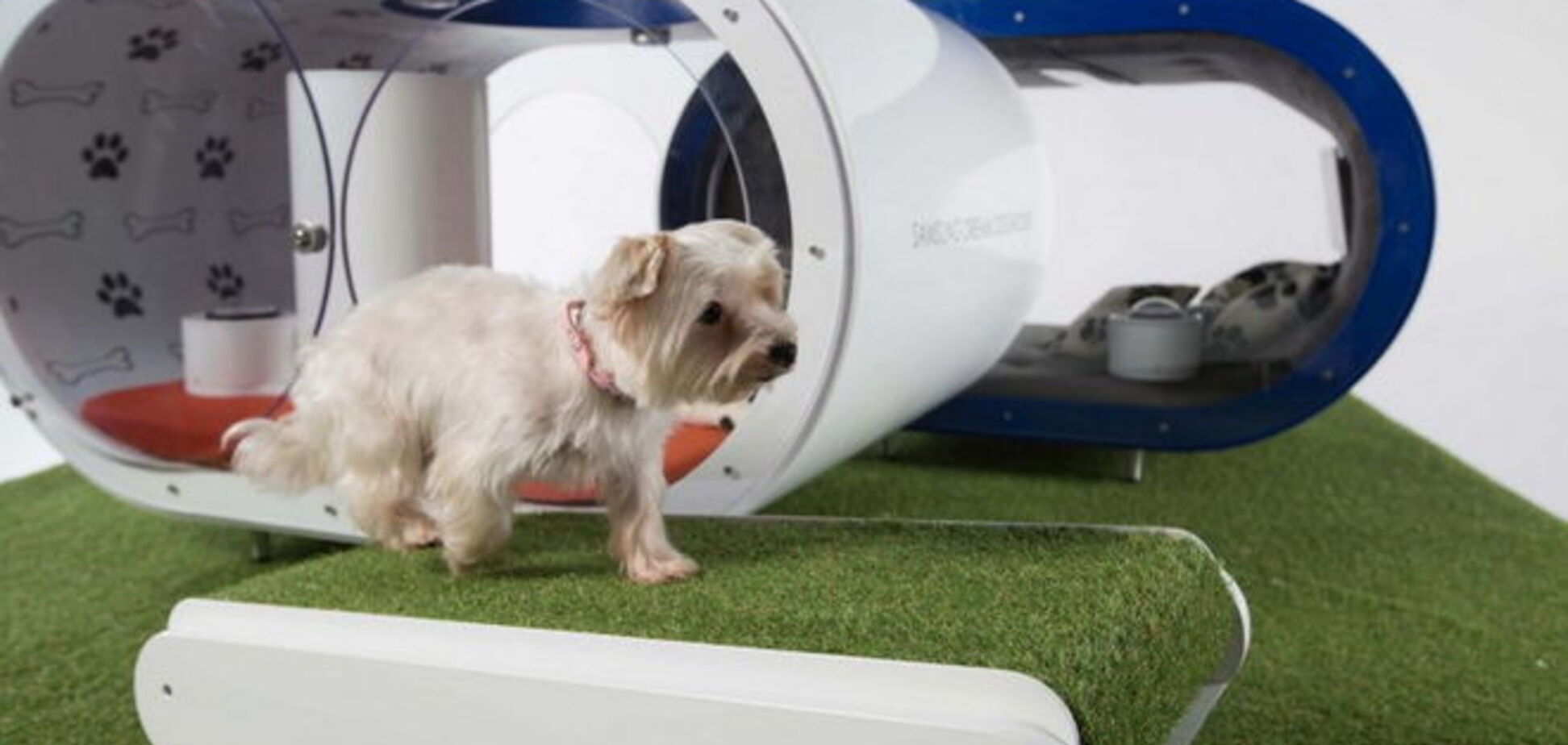 Построили высокотехнологичный домик для собак за $30 тысяч
