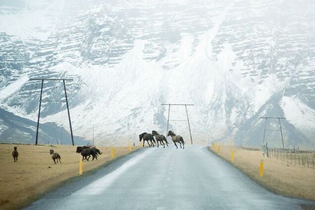 Манящие вдаль: 12 одиноких дорог со всего света