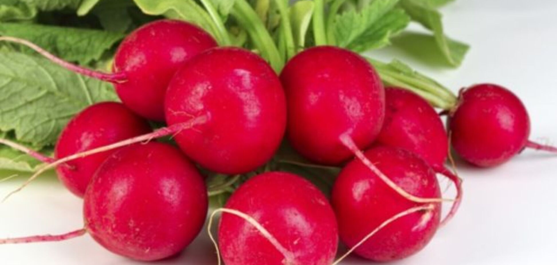 Медики назвали самые полезные продукты весной