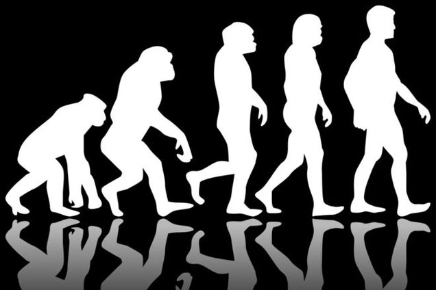 Ученые с помощью черепа 'африканского' кита объяснили эволюцию человека