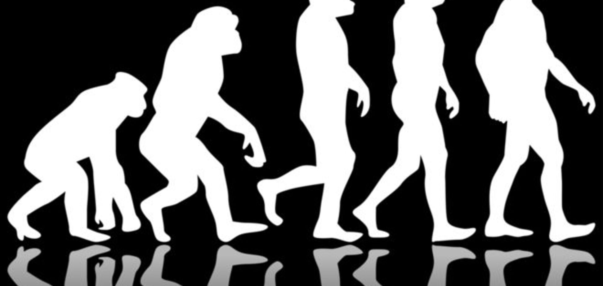 Ученые с помощью черепа 'африканского' кита объяснили эволюцию человека