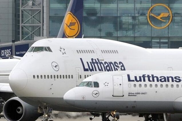 Птицы-убийцы: в Израиле чуть не рухнул пассажирский самолет