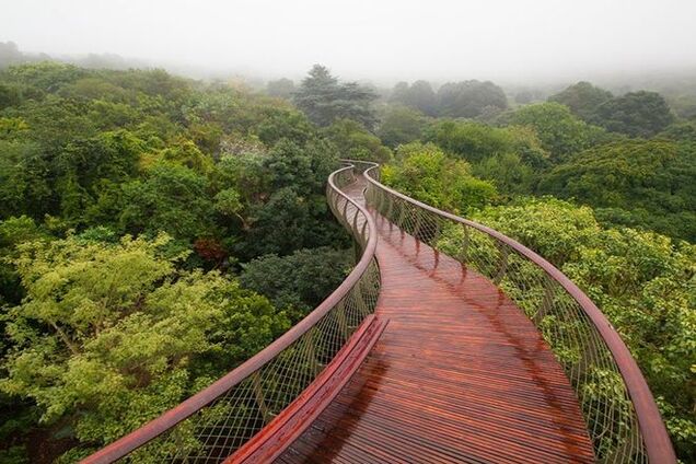 Самая высокая подвесная аллея