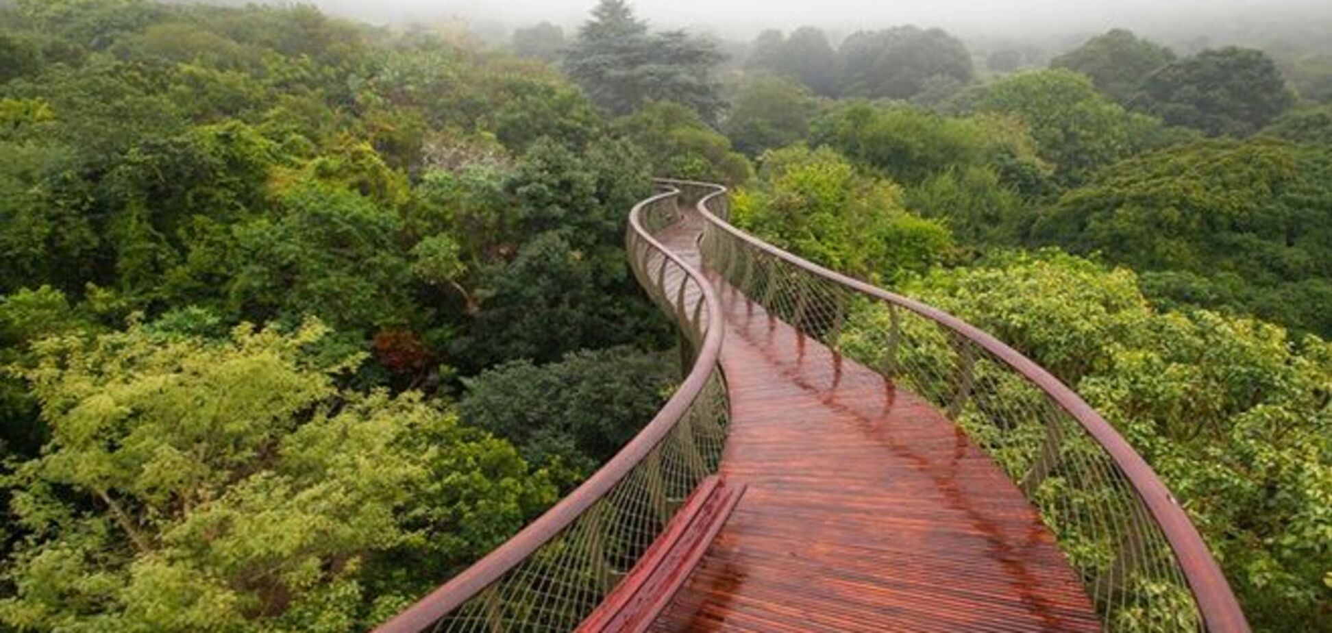 Самая высокая подвесная аллея