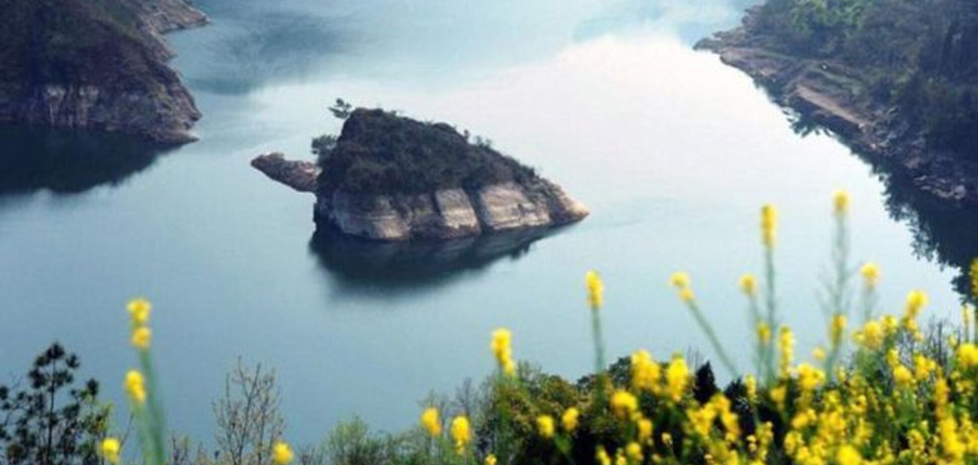 В Китае обитает остров-черепаха, который появляется лишь весной