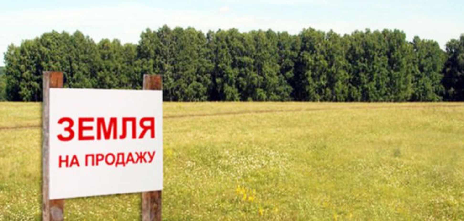 Цена на дома и участки в Киевской области рухнули: никто не берет