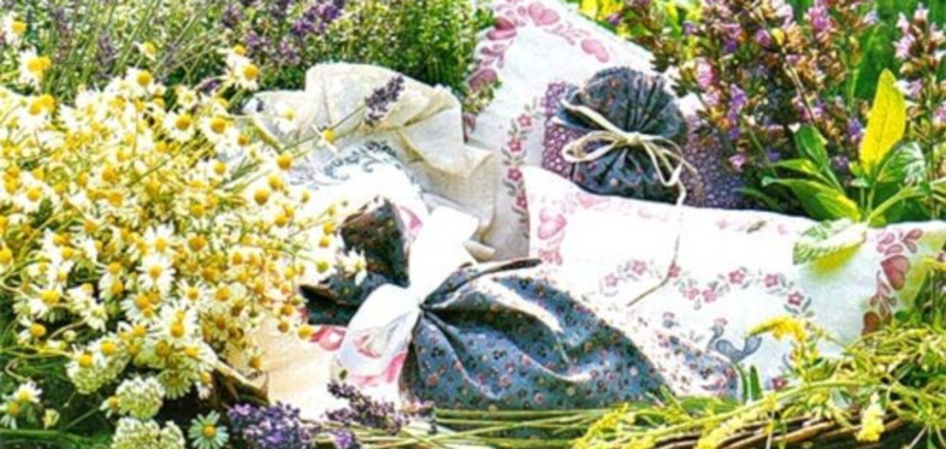 Секреты хорошего сна: наполняем подушку травами