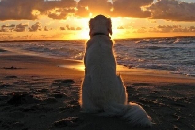 Солнечное затмение 20 марта: уйдет то, что уже отработано