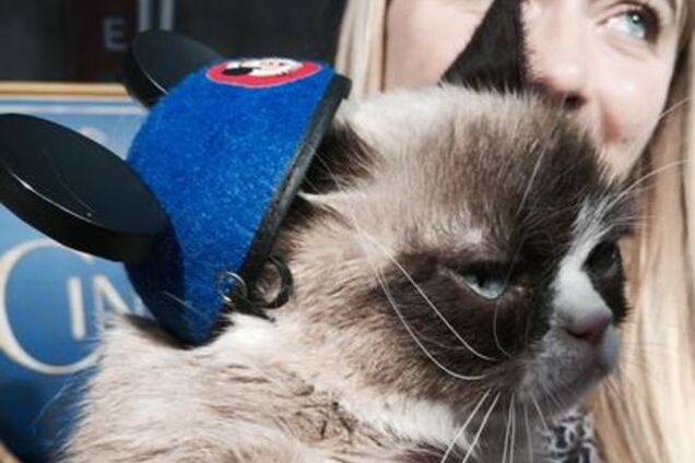 Самый угрюмый кот в мире посетил диснеевскую премьеру фильма 'Золушка': смешные фото