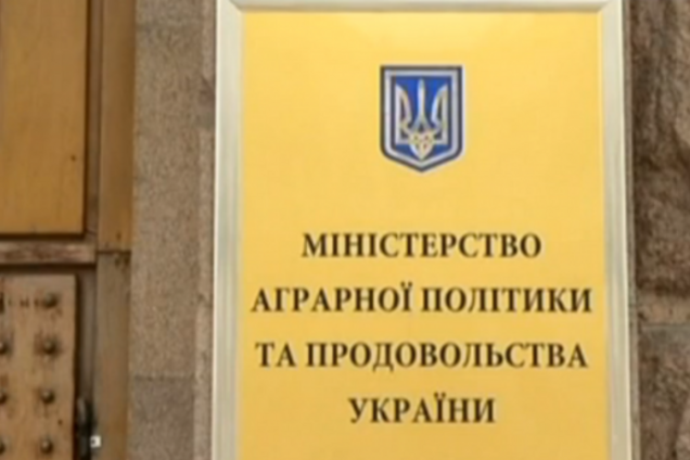 Полки магазинов заполняются продукцией, появляются сахар и гречка - Минагрополитики