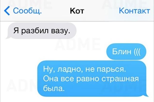 15 очень смешных СМС, которые могли написать коты