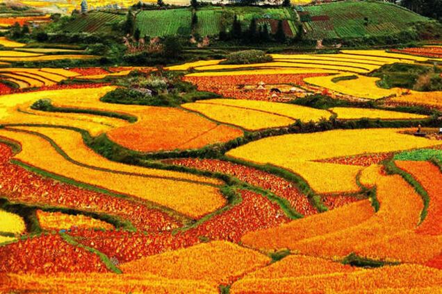 Рай для фотографов: невероятные краски далекой земли Дончуань