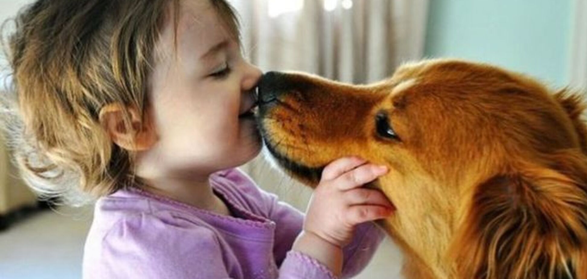 Ученые: поцелуй собаки может быть полезным для человека
