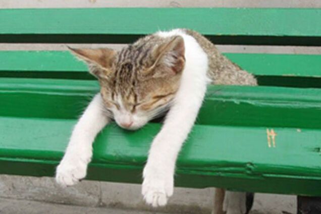 Нерабочая пятница