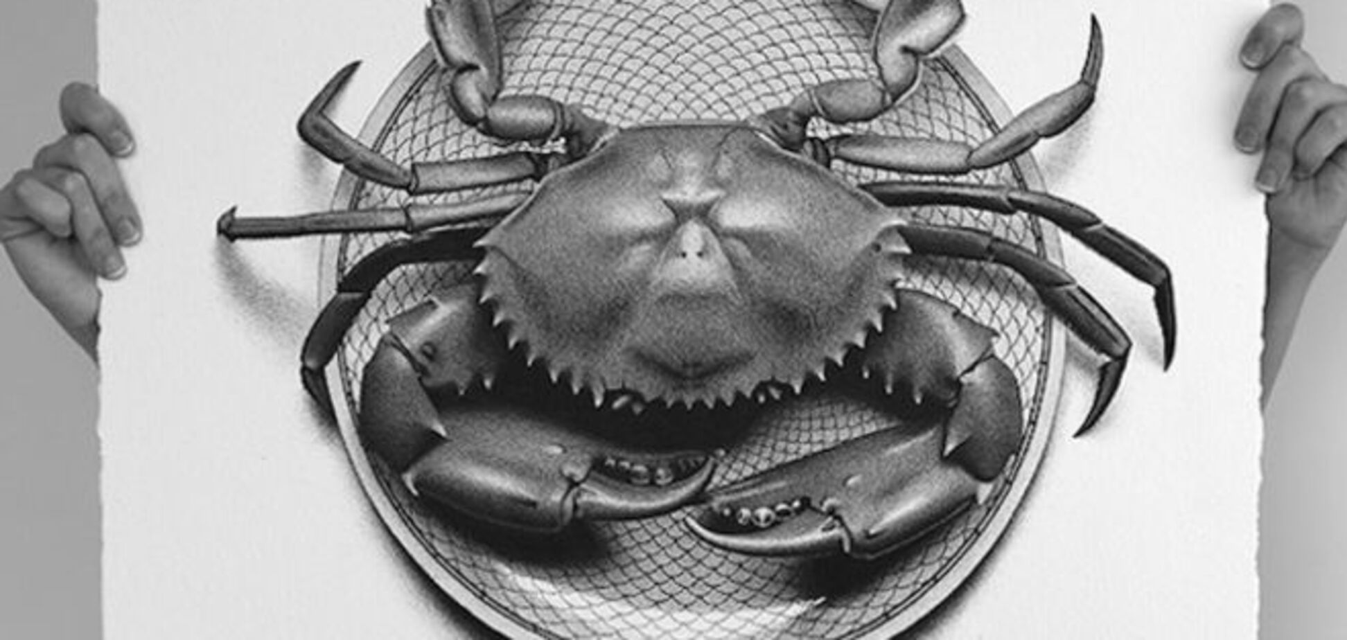 Художница создала 50 фотореалистичных иллюстраций за 50 дней