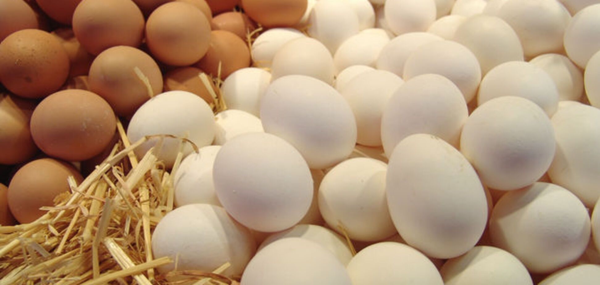 Медики назвали яйца более вредными, чем фастфуд