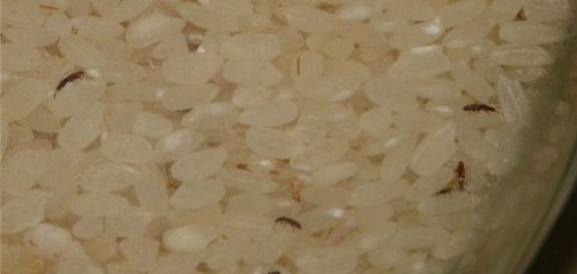 Как я нашел министра и добился истины