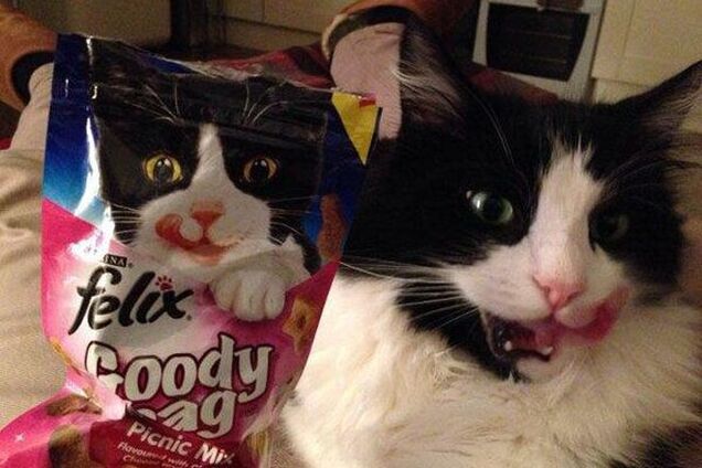 10 самых невероятных и смешных совпадений