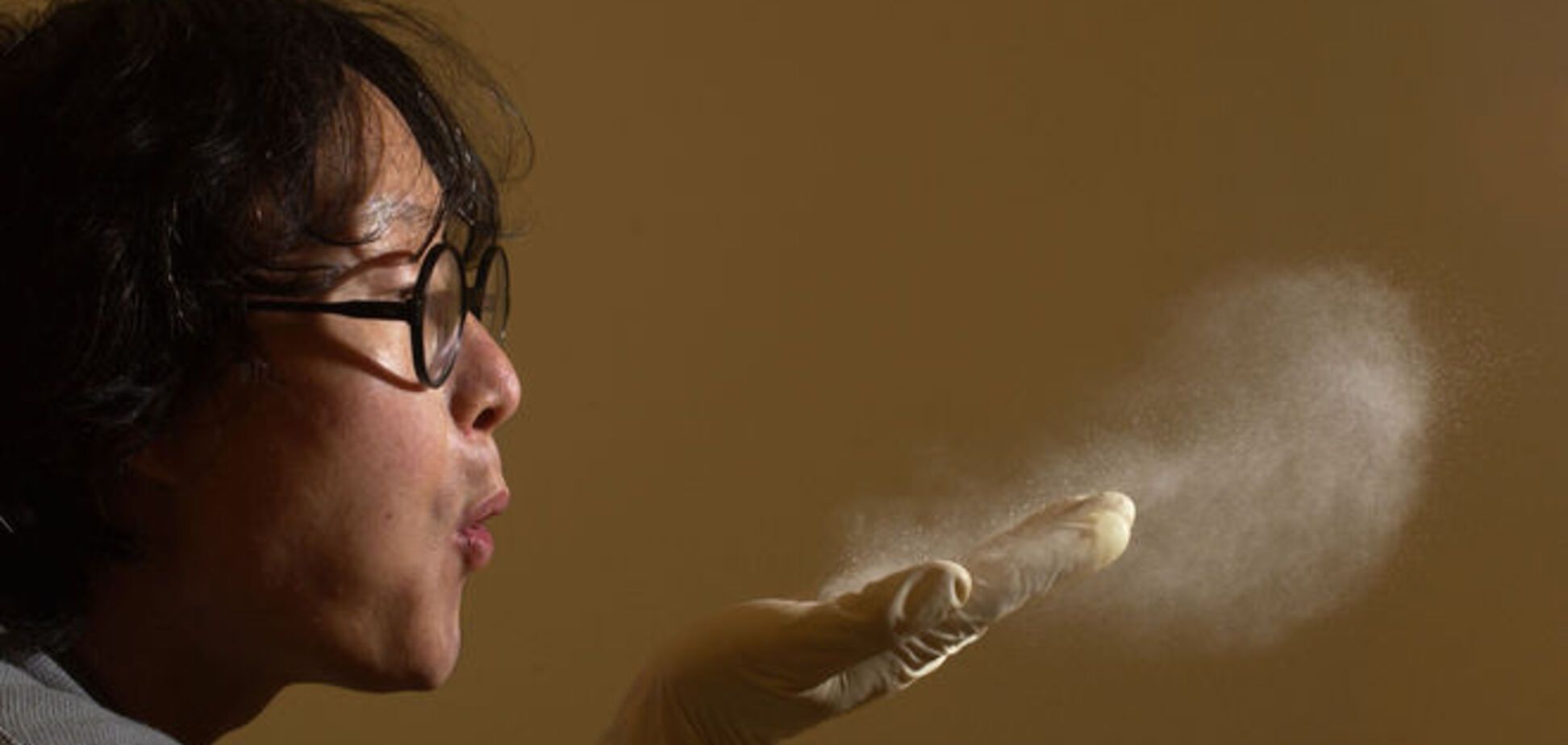 20 поразительных фактов об обычной пыли