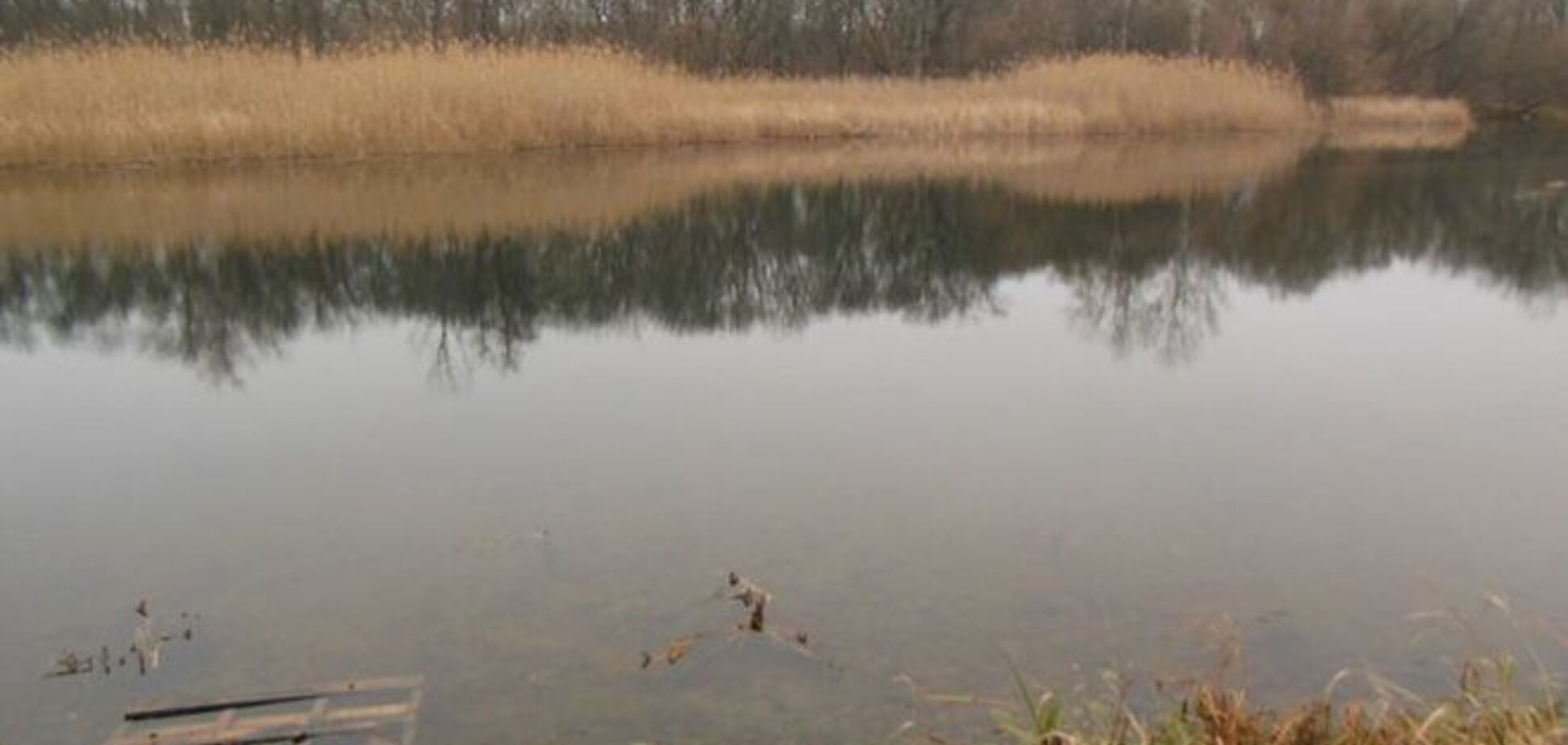 У Києві озера очистять ... водоростями