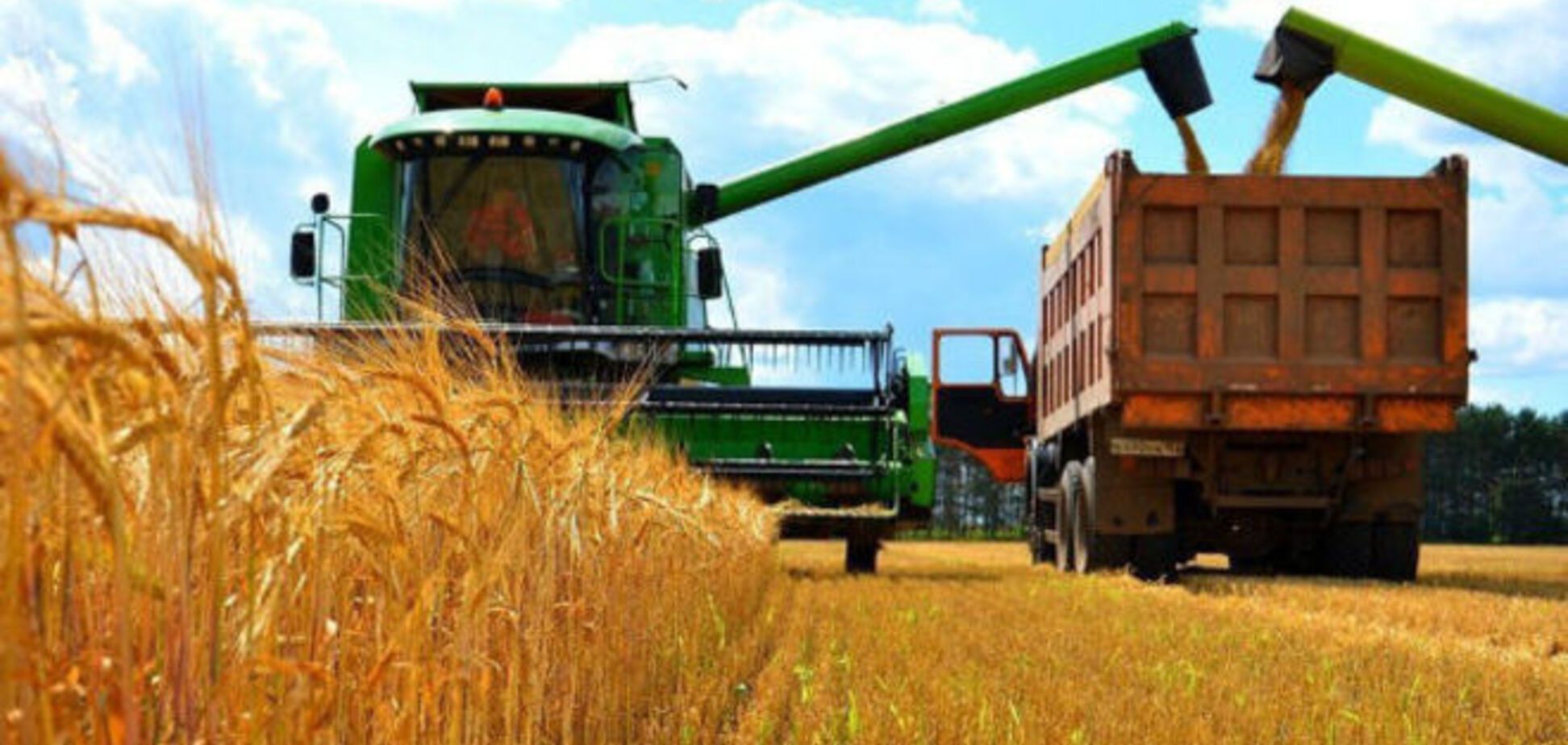 Колесник не владеет акциями агрокомпании ТАКО - АРИФРУ