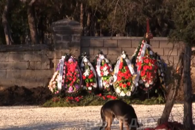 Могилу Януковича-молодшого в Севастополі охороняє собака