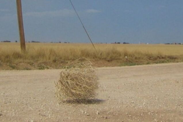 Международные резервы России продолжают таять на глазах