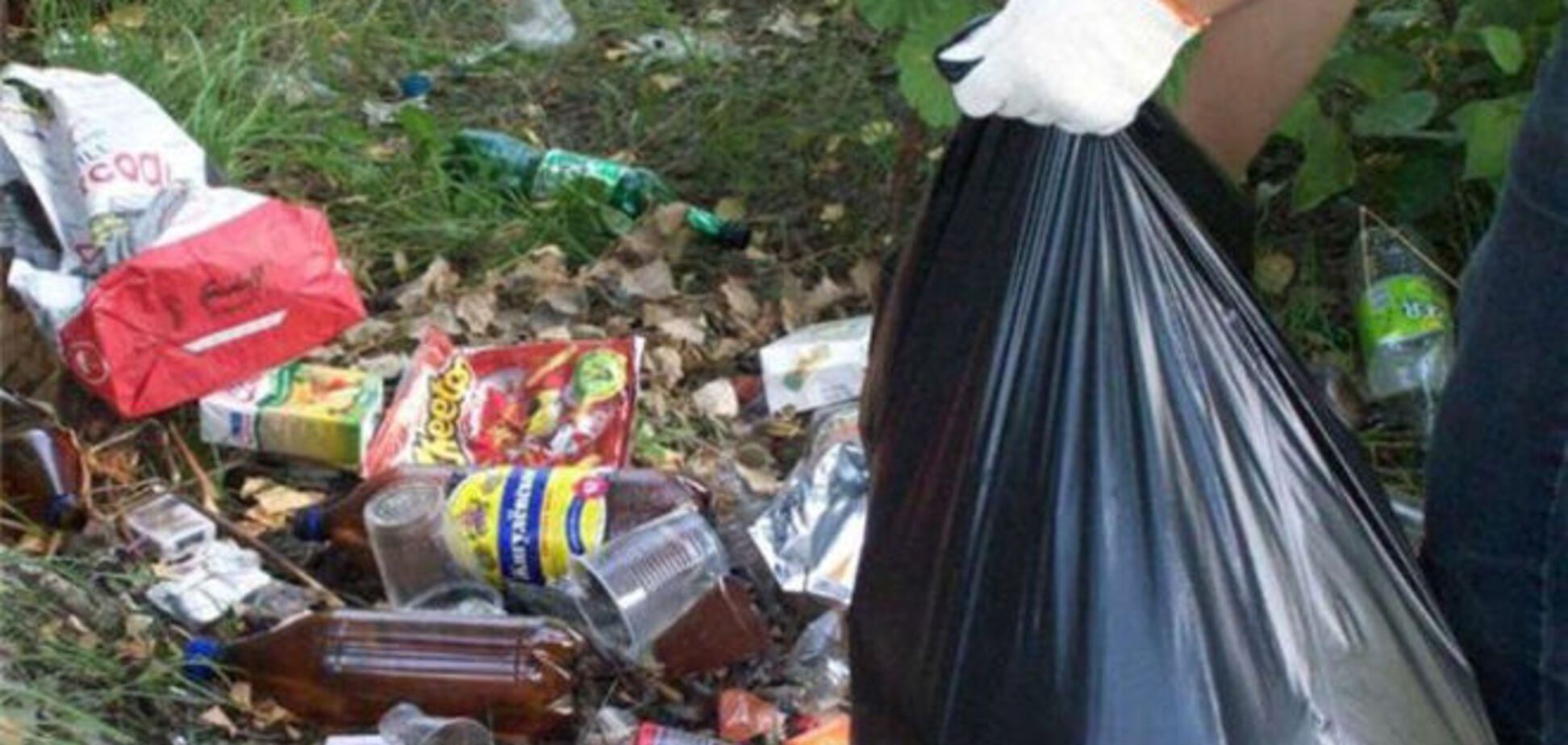 В субботу киевлян зовут на толоки