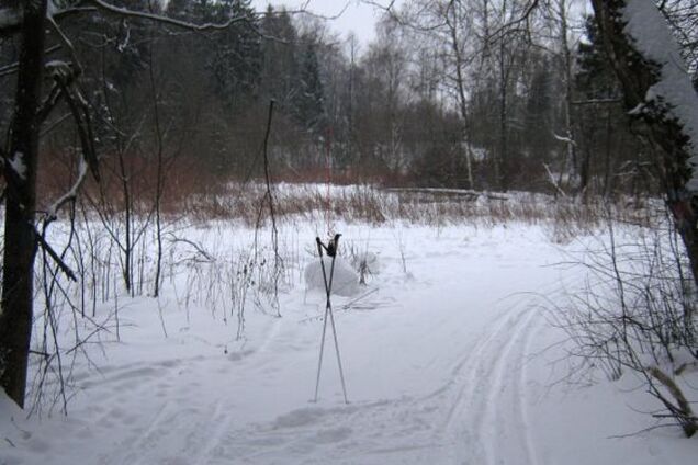 На Луганщине украинский боец подорвался на растяжке
