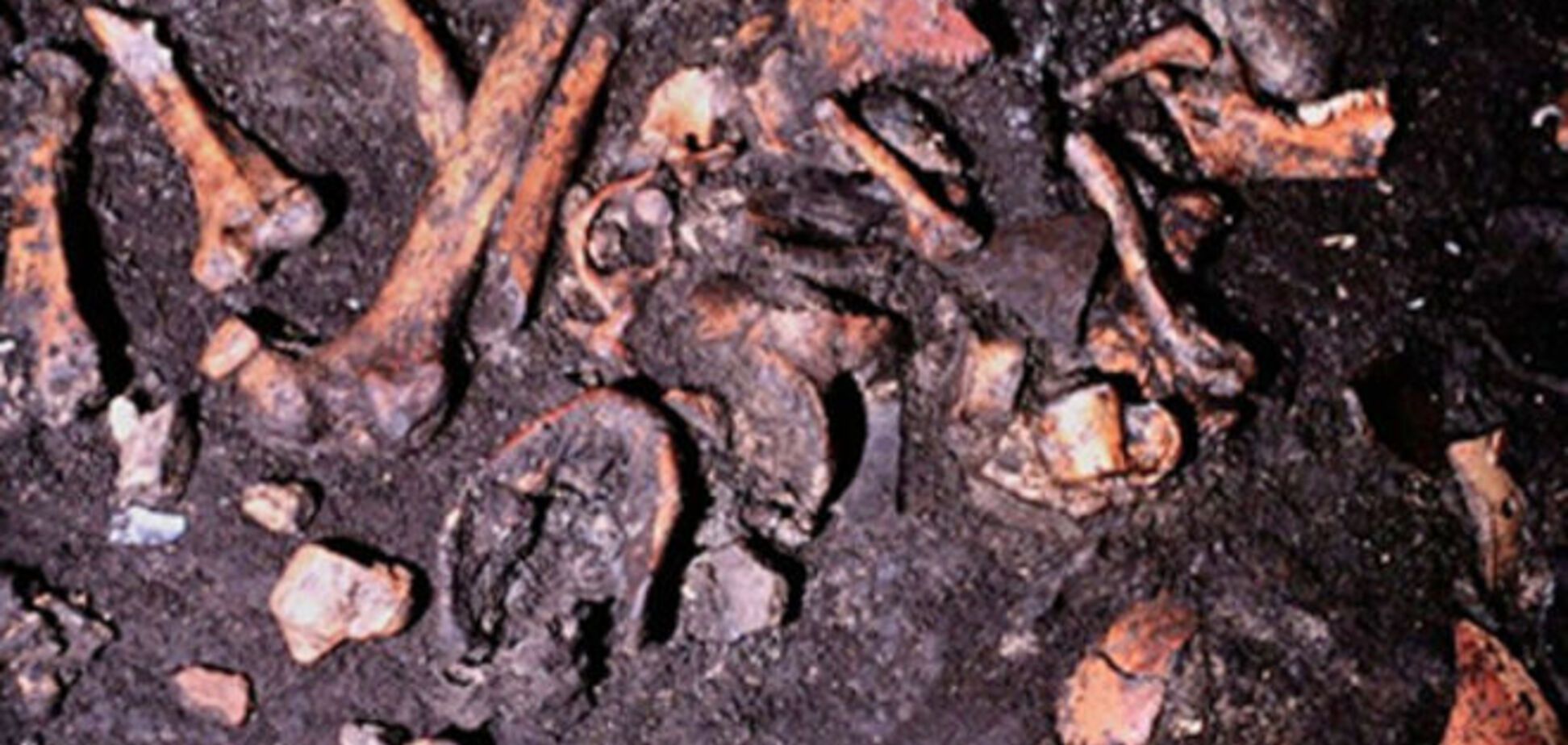 Археологи объяснили, зачем древние итальянцы срезали мясо с покойников